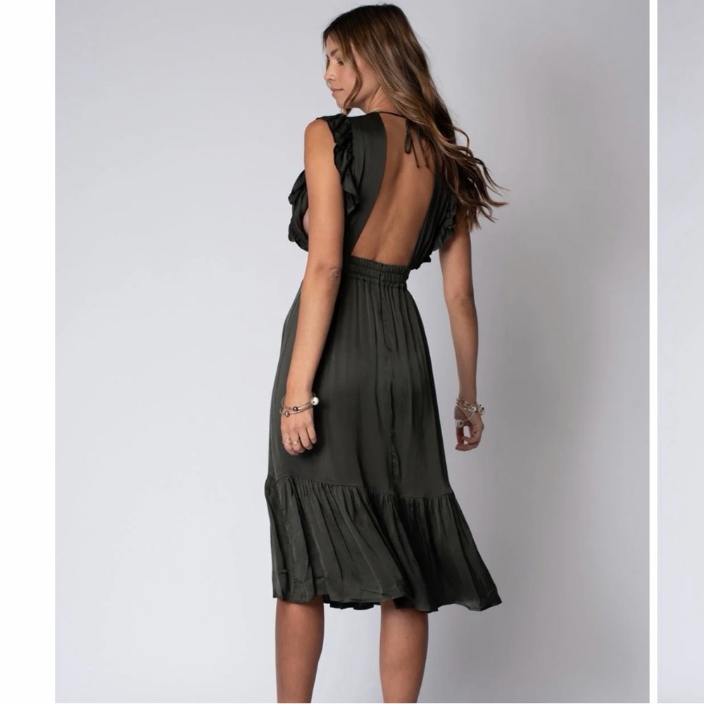 NWT Stillwater Jessie Midi Dress - Picture 14 of 14